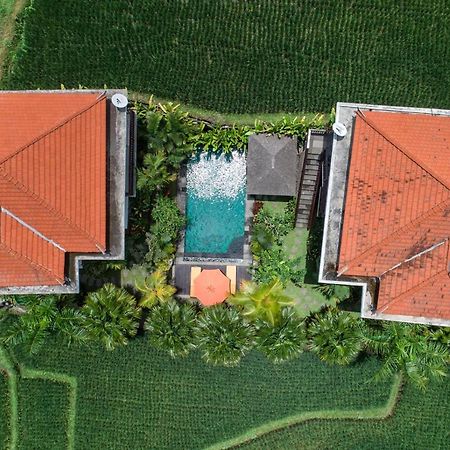 Cenik Villa Ubud מראה חיצוני תמונה