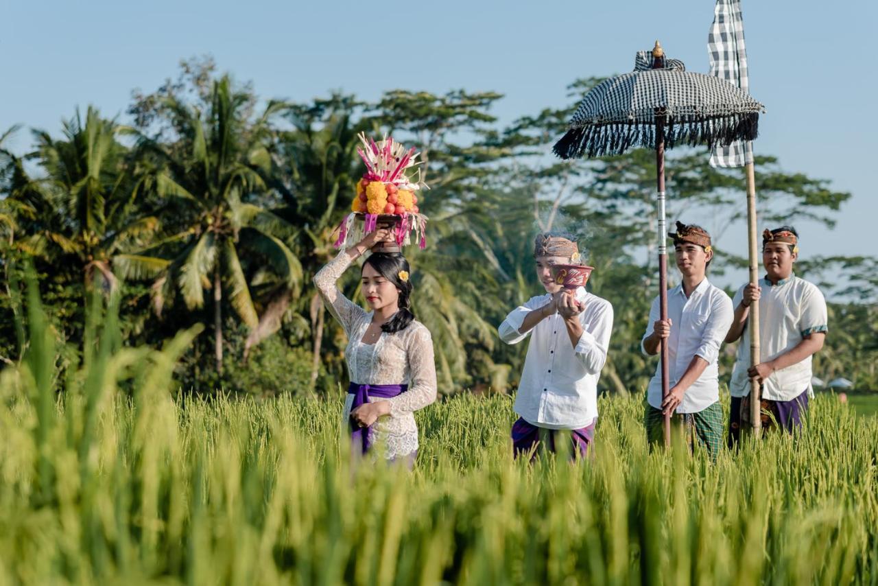 Cenik Villa Ubud מראה חיצוני תמונה