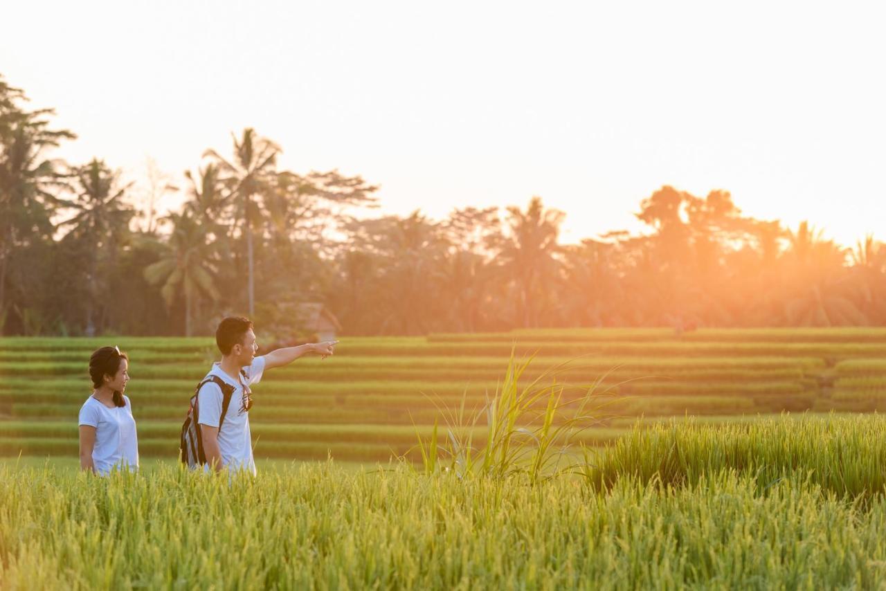 Cenik Villa Ubud מראה חיצוני תמונה