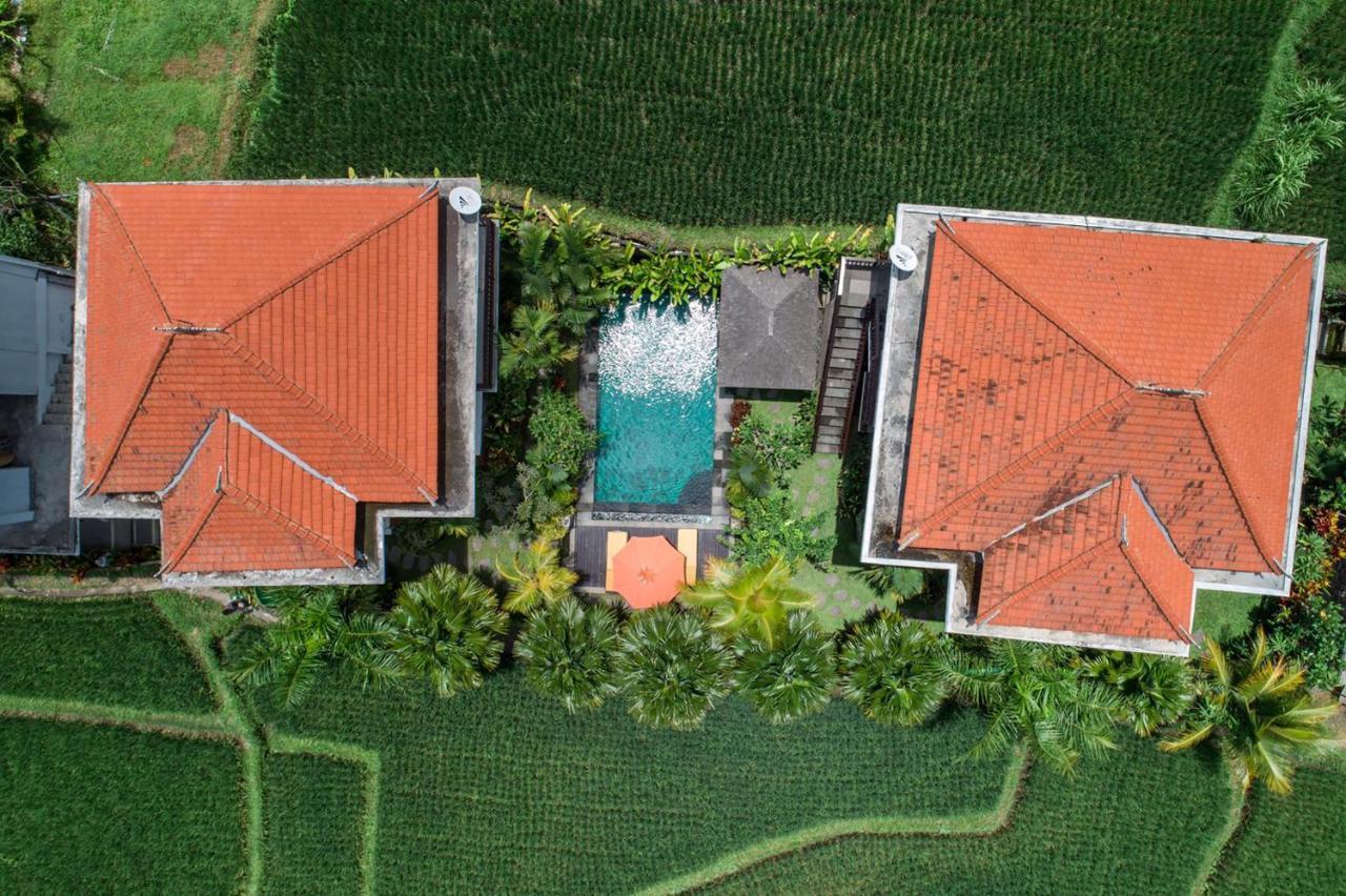Cenik Villa Ubud מראה חיצוני תמונה